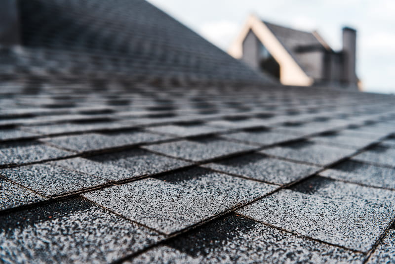 Roof Revival: The Value Of Professional Roof Washing